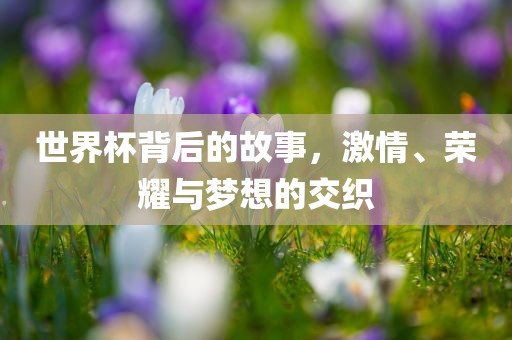 世界杯背后的故事，激情、荣耀与梦想的交织