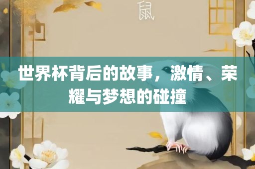 世界杯背后的故事，激情、荣耀与梦想的碰撞