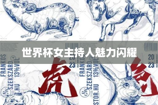 世界杯女主持人魅力闪耀
