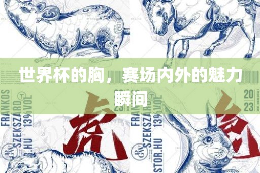 世界杯的胸，赛场内外的魅力瞬间