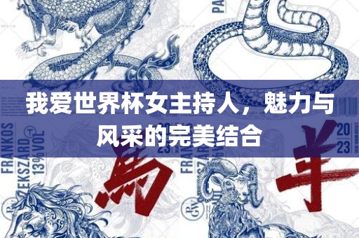 我爱世界杯女主持人，魅力与风采的完美结合