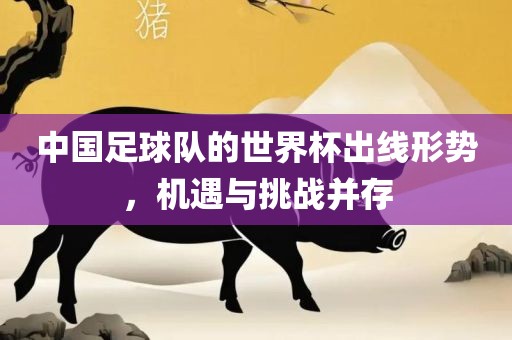 中国足球队的世界杯出线形势，机遇与挑战并存
