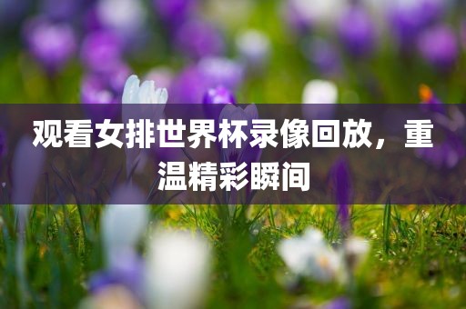 观看女排世界杯录像回放，重温精彩瞬间