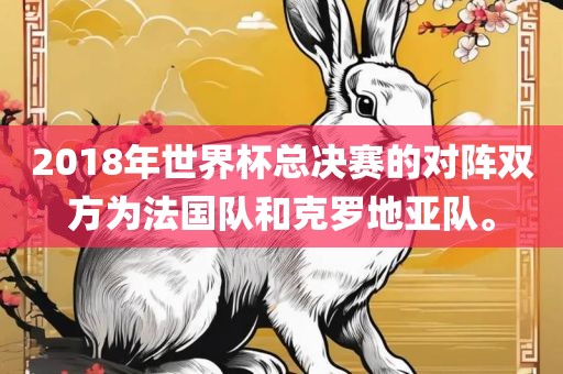 2018年世界杯总决赛的对阵双方为法国队和克罗地亚队。