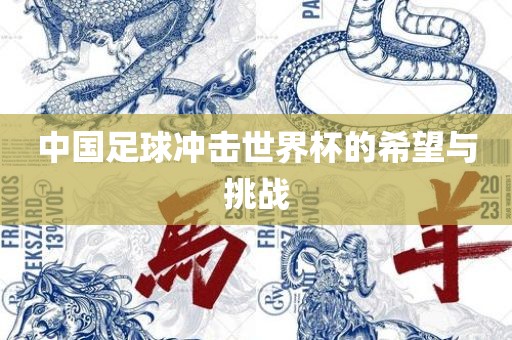 中国足球冲击世界杯的希望与挑战