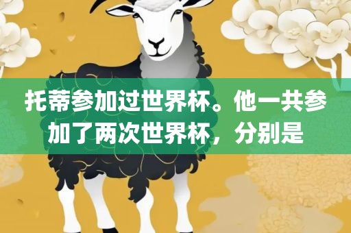 托蒂参加过世界杯。他一共参加了两次世界杯，分别是