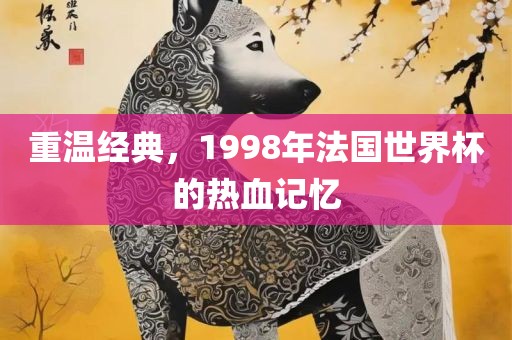 重温经典，1998年法国世界杯的热血记忆