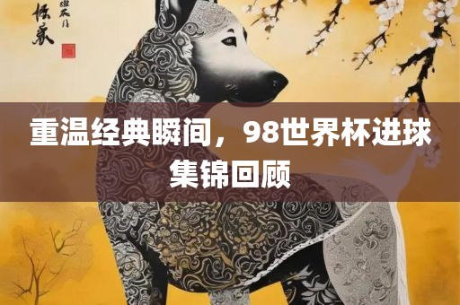 重温经典瞬间，98世界杯进球集锦回顾