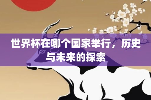 世界杯在哪个国家举行，历史与未来的探索