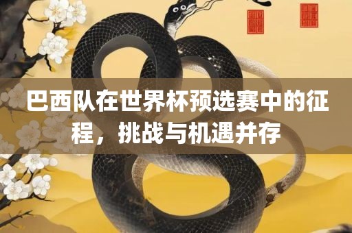 巴西队在世界杯预选赛中的征程，挑战与机遇并存