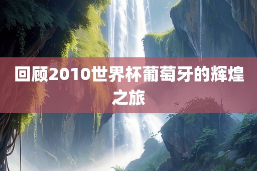回顾2010世界杯葡萄牙的辉煌之旅