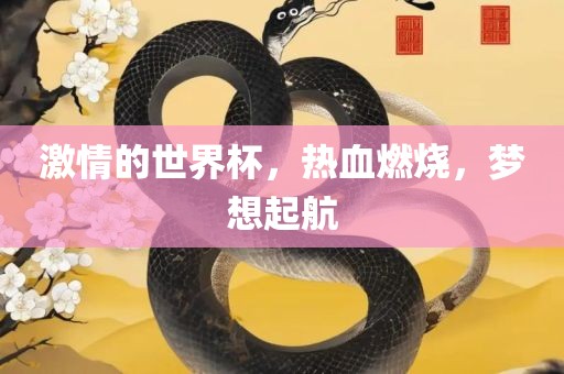 激情的世界杯，热血燃烧，梦想起航
