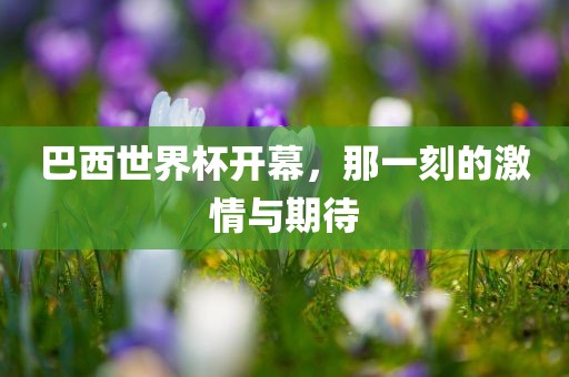 巴西世界杯开幕，那一刻的激情与期待