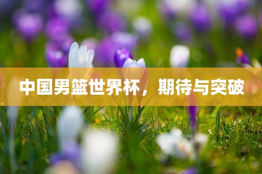 中国男篮世界杯，期待与突破