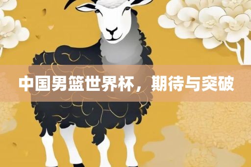 中国男篮世界杯，期待与突破