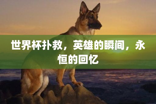 世界杯扑救，英雄的瞬间，永恒的回忆