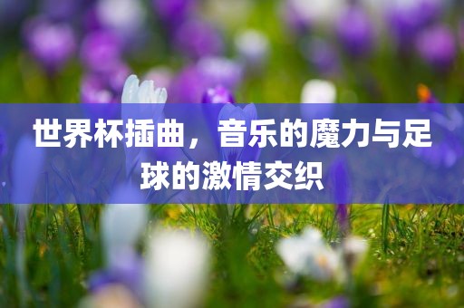 世界杯插曲，音乐的魔力与足球的激情交织