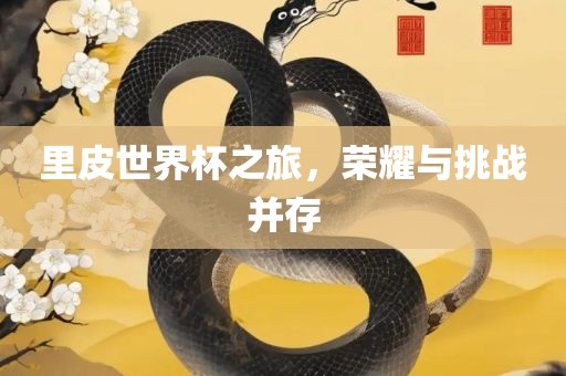 里皮世界杯之旅，荣耀与挑战并存