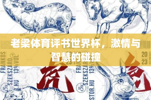 老梁体育评书世界杯，激情与智慧的碰撞