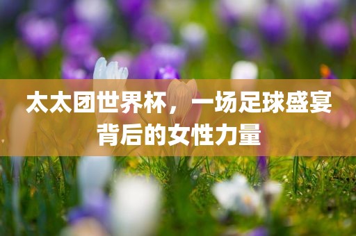 太太团世界杯,一场足球盛宴背后的女性力量
