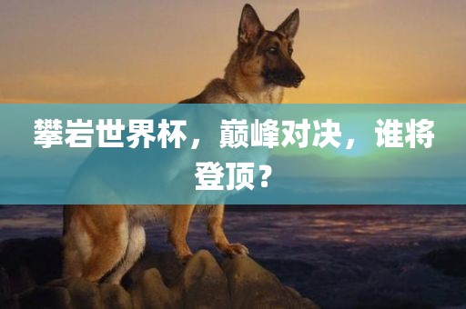 攀岩世界杯，巅峰对决，谁将登顶？