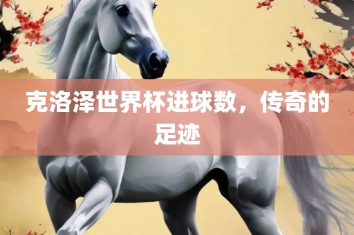 克洛泽世界杯进球数，传奇的足迹