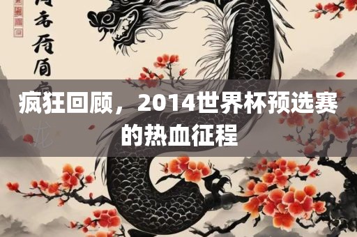 疯狂回顾，2014世界杯预选赛的热血征程