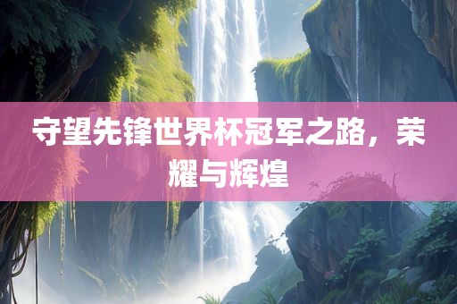 守望先锋世界杯冠军之路，荣耀与辉煌