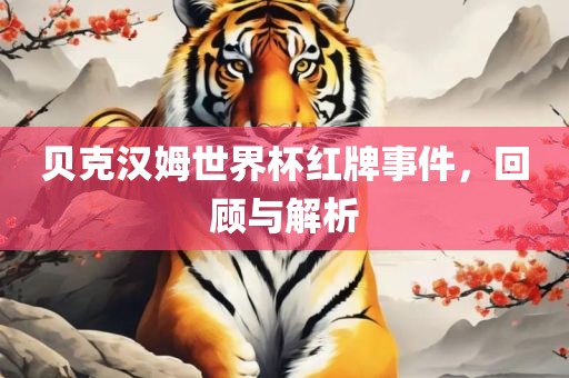 贝克汉姆世界杯红牌事件，回顾与解析