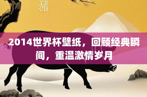 2014世界杯壁纸，回顾经典瞬间，重温激情岁月