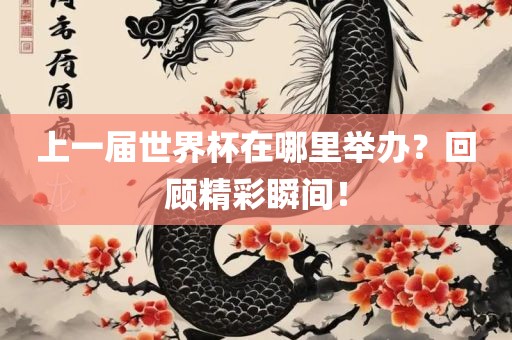 上一届世界杯在哪里举办？回顾精彩瞬间！