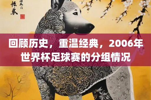 回顾历史，重温经典，2006年世界杯足球赛的分组情况