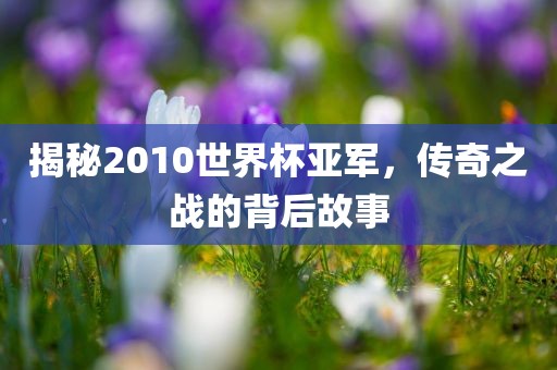 揭秘2010世界杯亚军，传奇之战的背后故事