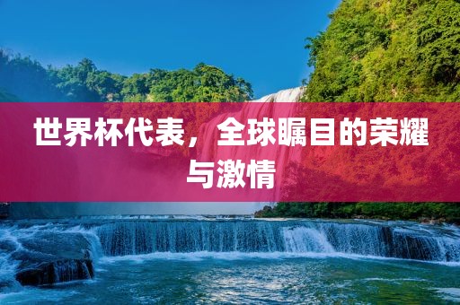 世界杯代表，全球瞩目的荣耀与激情