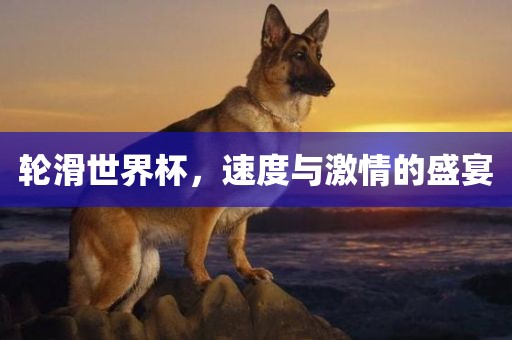 轮滑世界杯，速度与激情的盛宴