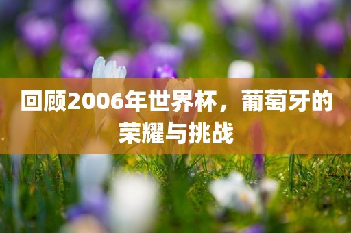 回顾2006年世界杯，葡萄牙的荣耀与挑战