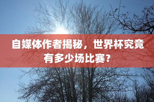 自媒体作者揭秘,世界杯究竟有多少场比赛?