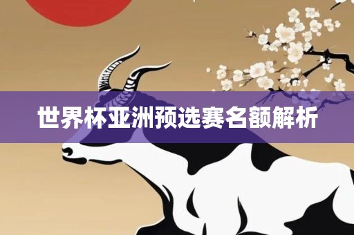世界杯亚洲预选赛名额解析