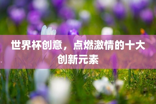 世界杯创意，点燃激情的十大创新元素