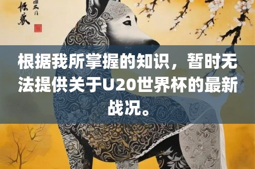 根据我所掌握的知识，暂时无法提供关于U20世界杯的最新战况。