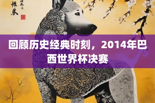 回顾历史经典时刻，2014年巴西世界杯决赛