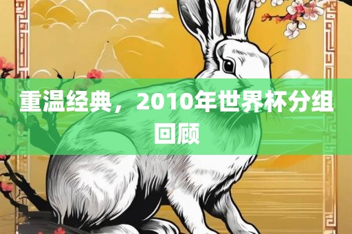 重温经典，2010年世界杯分组回顾