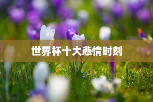 世界杯十大悲情时刻