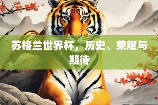 苏格兰世界杯，历史、荣耀与期待