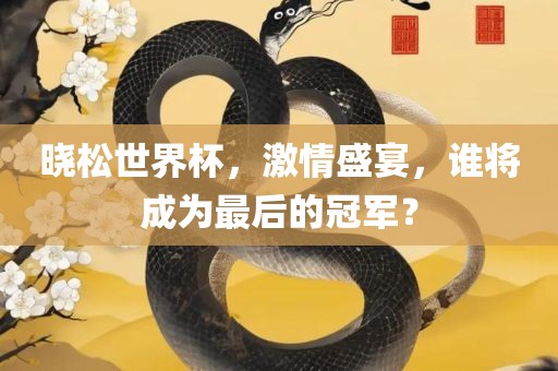 晓松世界杯，激情盛宴，谁将成为最后的冠军？