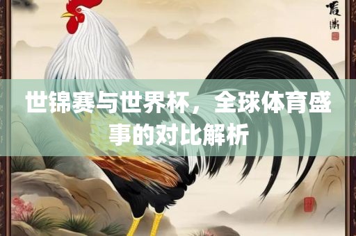 世锦赛与世界杯，全球体育盛事的对比解析