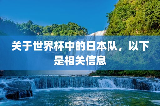 关于世界杯中的日本队，以下是相关信息
