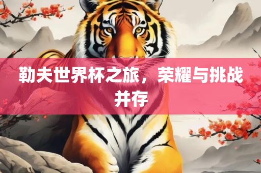 勒夫世界杯之旅，荣耀与挑战并存