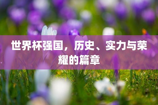 世界杯强国，历史、实力与荣耀的篇章