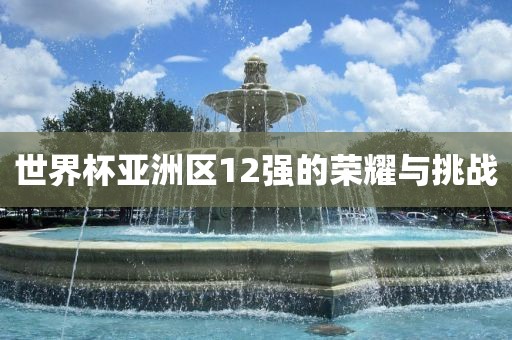 世界杯亚洲区12强的荣耀与挑战